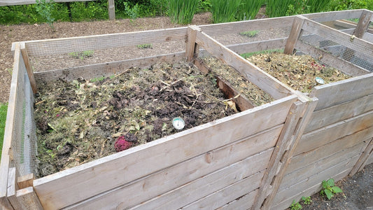 Composting: Closing the Loop on Organic Waste