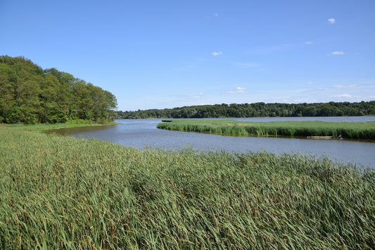 Water Conservation: Sustainable Practices for Organic Agriculture