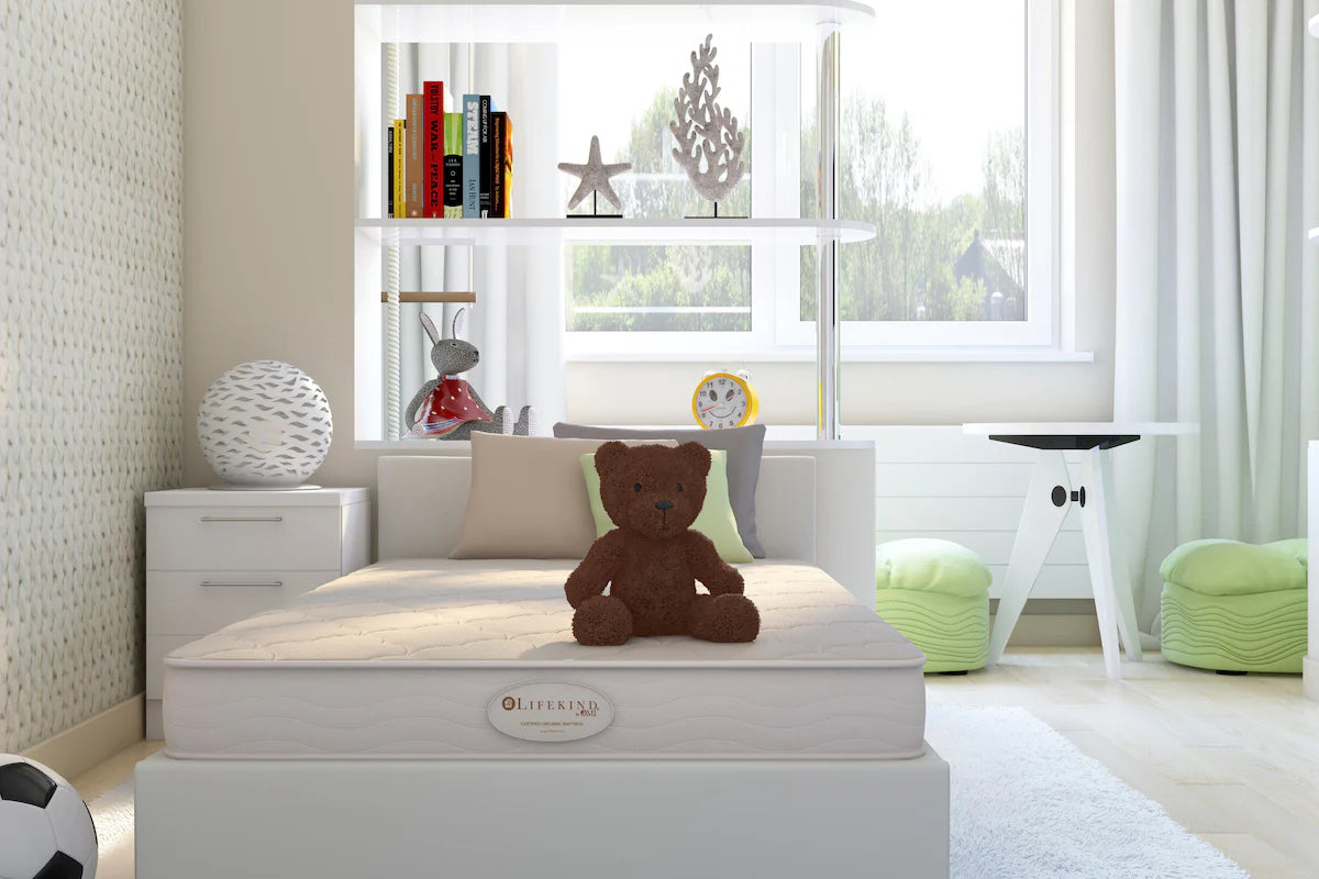 Organic Plush Toys
