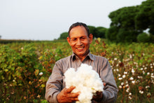 Farm worker holding organic cotton crop