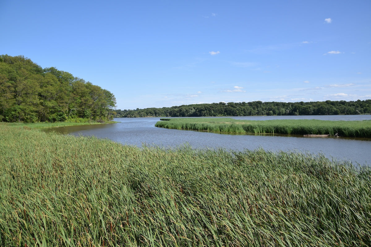 Water Conservation: Sustainable Practices for Organic Agriculture
