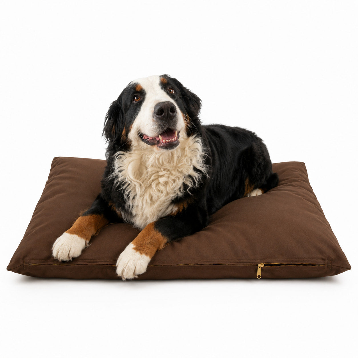 Certified Organic Natural Rubber Pet Bed with Zip-Off Cover